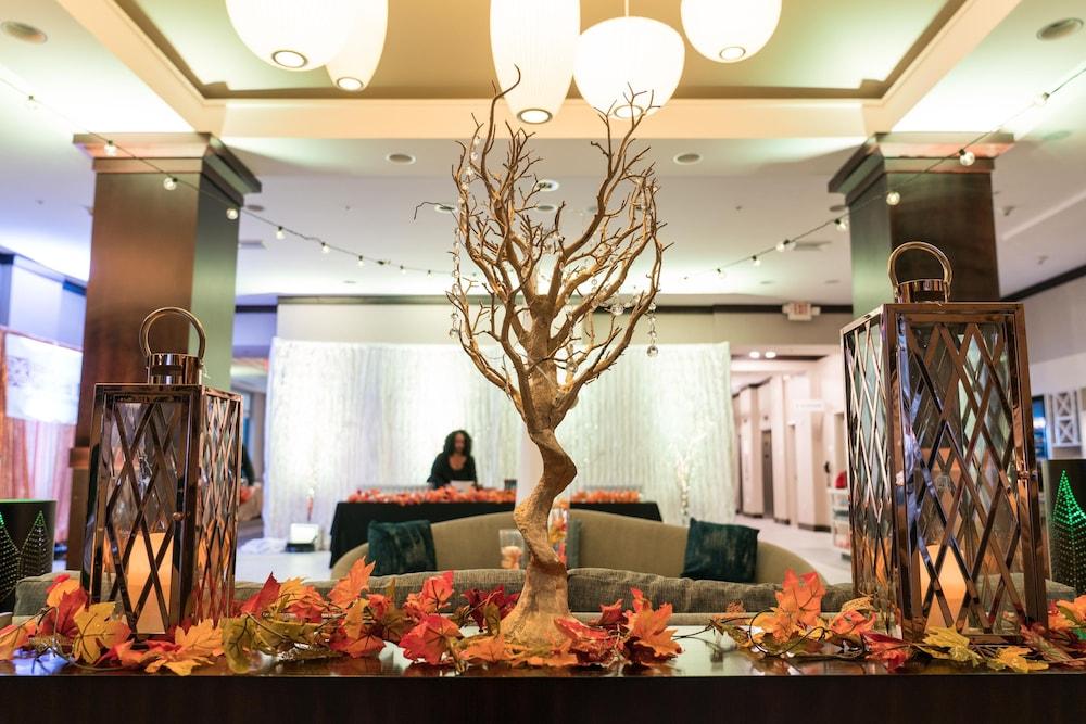 Hilton Garden Inn Shirlington Arlington Eksteriør bilde